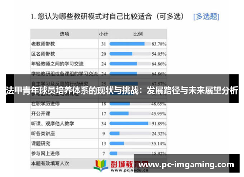 法甲青年球员培养体系的现状与挑战：发展路径与未来展望分析