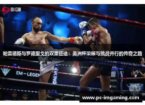 帕雷德斯与罗德里戈的双重征途：美洲杯荣耀与挑战并行的传奇之路