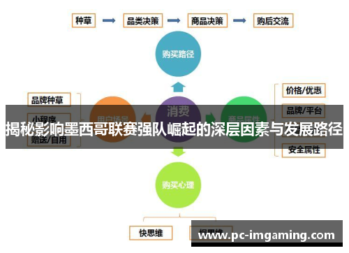 揭秘影响墨西哥联赛强队崛起的深层因素与发展路径