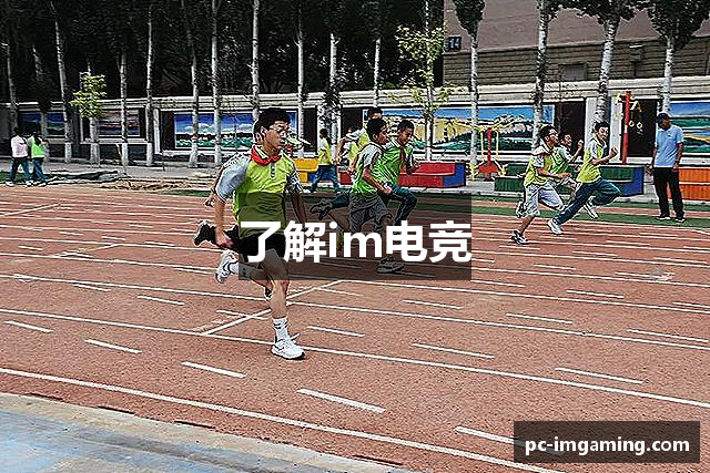 了解im电竞